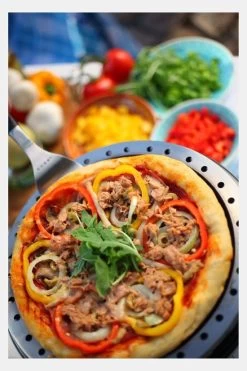 Cobb Bakplaat -Kortingswinkel voor buitenkeukens mecgc70170 0101 04 nl