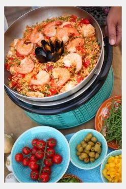 Cobb Wok -Kortingswinkel voor buitenkeukens mecgc70171 0101 04 nl