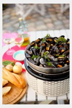 Cobb Wok -Kortingswinkel voor buitenkeukens mecgc70171 0101 06 nl